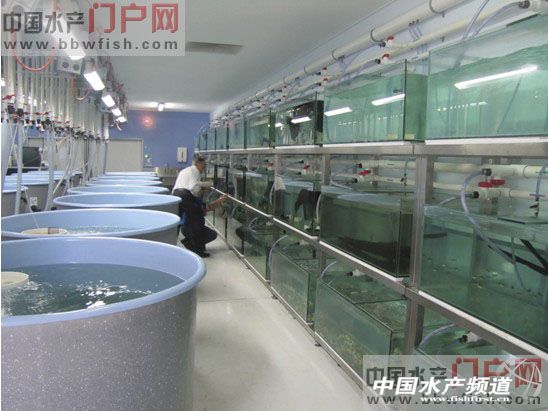 中国的工厂化水产养殖进程